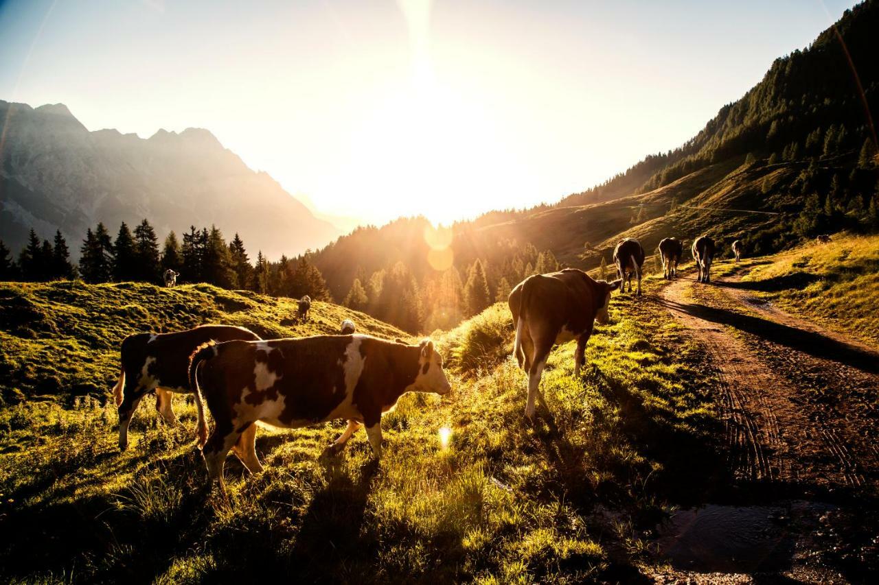 Kaiserhaus Leogang Esterno foto